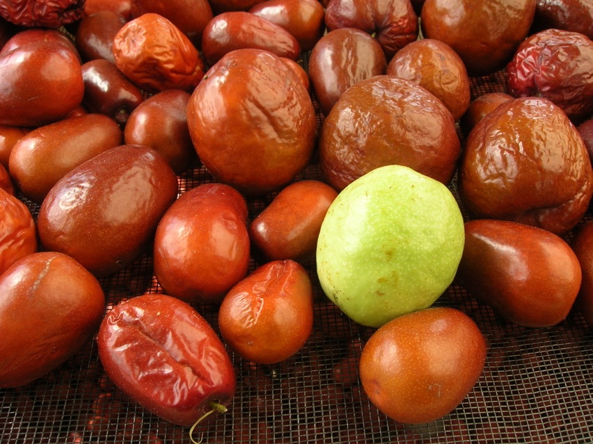 li and lang jujube fruit